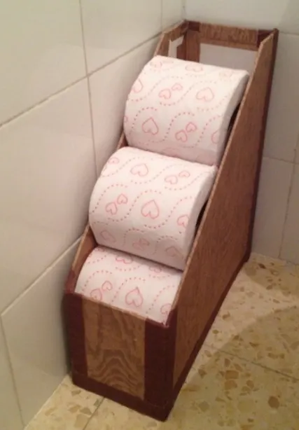 Small Bathroom Storage Ideas - a cardboard upright file holder is a novel (and practical!) toilet paper holder.